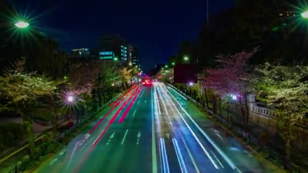 Нічний таймелапс вишневої вулиці на проспекті Ясукуні в Токіо. — стокове відео