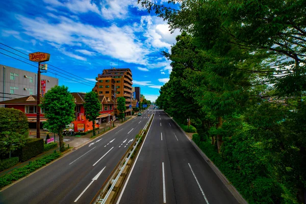 Eine Straße im Stadtzentrum an der kanpachi Avenue in Tokio tagsüber — Stockfoto