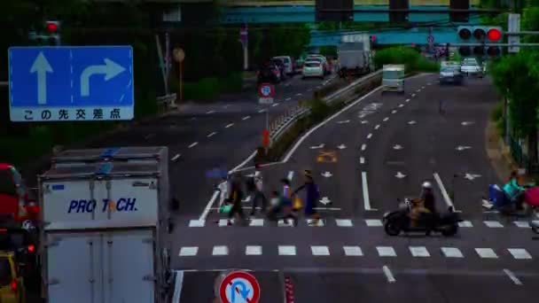 Um timelapse de rua de carro na avenida Kanpachi em Tóquio inclinação de tiro longo diurno — Vídeo de Stock