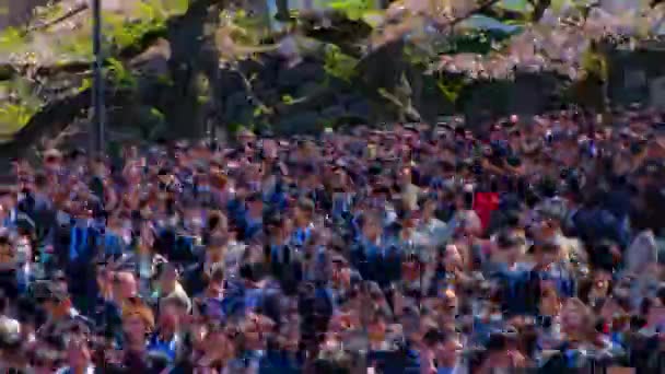 Een tijdspanne van de menigte met kersenbomen op Kudanshita straat in Tokio in het voorjaar lange schot panning — Stockvideo