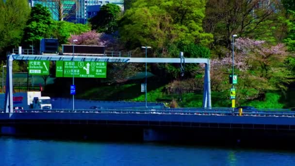 Ein Zeitraffer von Chidorigafuchi Teich mit Kirschbäumen in Tokio im Frühling Weitschuss-Zoom — Stockvideo