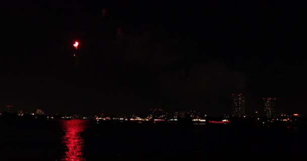 Kembang api dekat sungai Edogawabashi di Tokyo — Stok Video