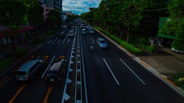 Une chronométrage de la rue automobile de l'avenue Kanpachi à Tokyo panoramique diurne — Video