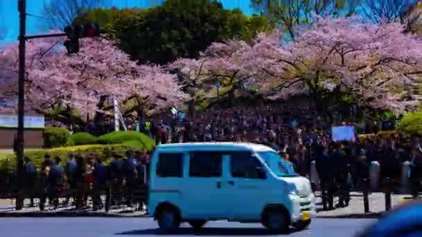 Uma cronologia das multidões com cerejeiras na rua Kudanshita, em Tóquio, na primavera zoom tiro largo — Vídeo de Stock