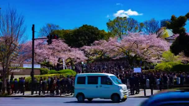 Un timelapse de las multitudes con cerezos en la calle Kudanshita en Tokio en la primavera de tiro ancho — Vídeos de Stock