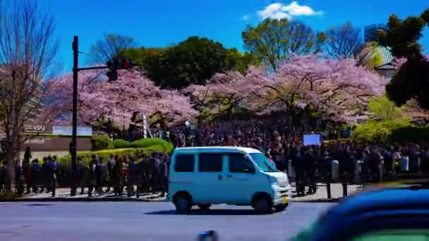 Timelapse tłumów z wiśniowymi drzewami na Kudanshita ulicy w Tokio w skoku szerokiego strzału tilt — Wideo stockowe