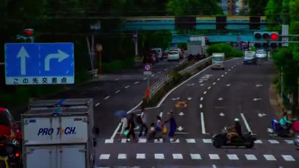 Um timelapse de rua de carro na avenida Kanpachi em Tóquio inclinação de tiro longo diurno — Vídeo de Stock