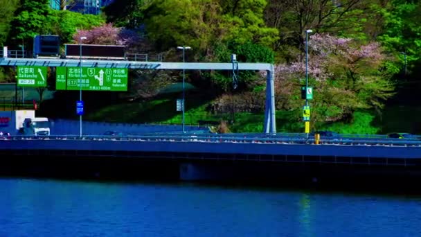 A timelapse de Chidorigafuchi lagoa com cerejeiras em Tóquio na primavera tiro longo panning — Vídeo de Stock