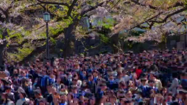 봄에 도쿄의 쿠 단 시타 거리에서 벚나무와 함께 군중의 시간 행렬긴 샷 — 비디오