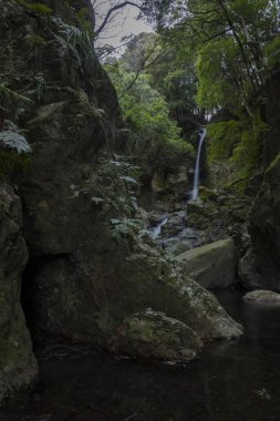 Numazu Shizuoka 'da kışın çağlayan şelale.