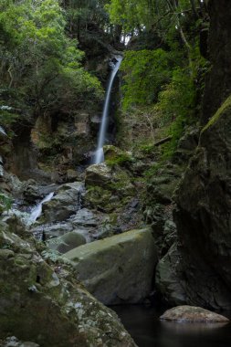 Numazu Shizuoka 'da kışın çağlayan şelale.