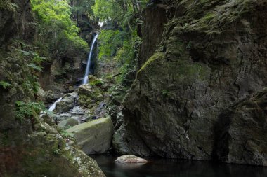 Numazu Shizuoka 'da kışın çağlayan şelale.
