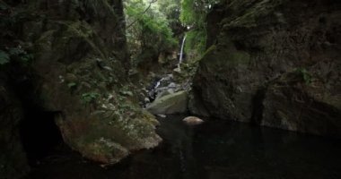 Numazu Shizuoka 'da kışın çağlayan şelale.