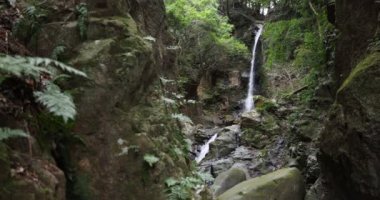 Numazu Shizuoka 'da kışın çağlayan şelale.