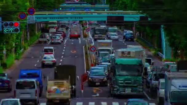 Un intemporel de rue de voiture à l'avenue Kanpachi à Tokyo diurne longue vue panoramique — Video