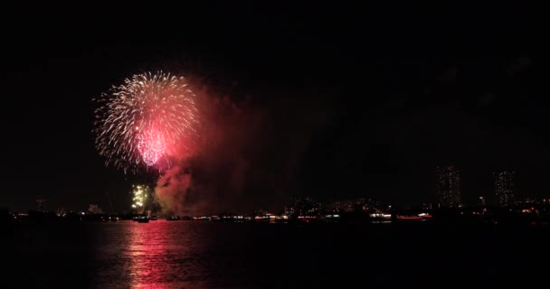 Fireworks near Edogawabashi river in Tokyo copyspace — Stock Video