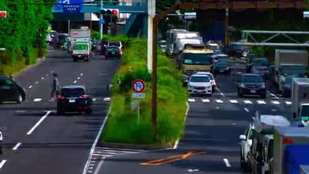 Uma timelapse da baixa da rua na avenida Kanpachi em Tóquio — Vídeo de Stock