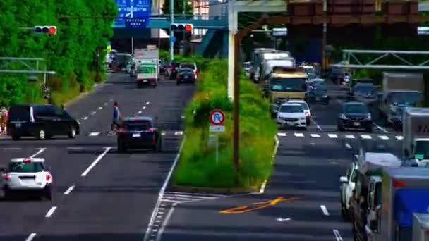 Uma timelapse da baixa da rua na avenida Kanpachi em Tóquio zoom de longo alcance diurno — Vídeo de Stock