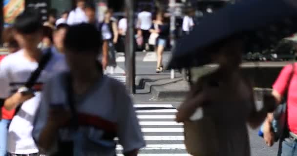 新宿の繁華街を歩く人たち — ストック動画