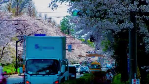 Um timelapse do tráfego na rua das flores da cereja em Kunitachi Tóquio zoom de tiro longo — Vídeo de Stock