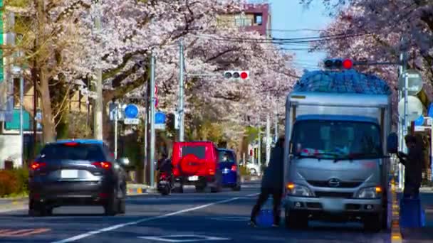 Um timelapse do tráfego na rua das flores da cereja em Kunitachi Tokyo inclinação tiro longo — Vídeo de Stock