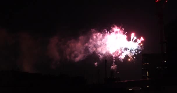 夏の夜、東京都内のビル近くで花火が打ち上げられました — ストック動画
