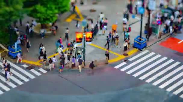 東京での渋谷交差点のタイムラプス高角傾きパンニング — ストック動画