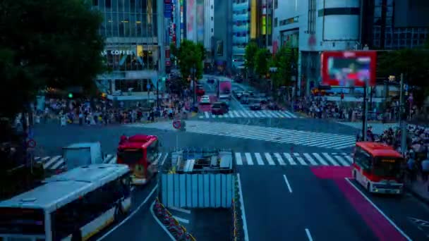 Čas západu slunce na Shibuya křižovatce v Tokiu široký záběr — Stock video