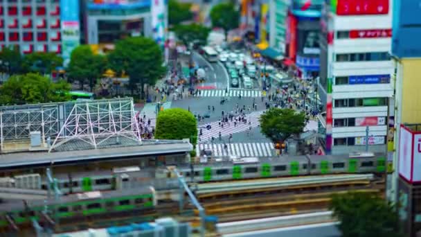 Un timelapse della traversata Shibuya a Tokyo inclinazione del tiltshift ad alto angolo — Video Stock