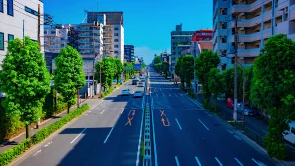 Un plan intemporel de la rue du centre-ville à l'avenue Kanpachi à Tokyo — Video