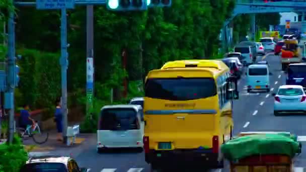 Un timelapse de la calle del centro en la avenida Kanpachi en Tokio diurno largo tiro zoom — Vídeos de Stock