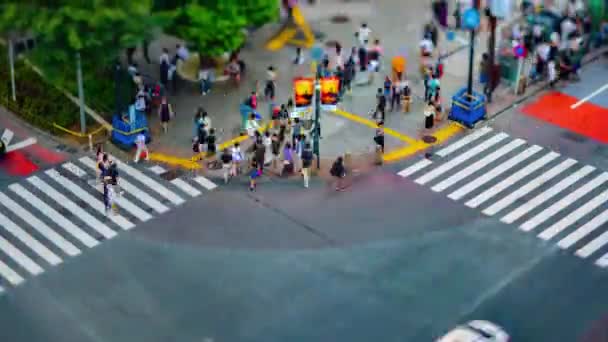 Een timelapse van Shibuya kruising in Tokio hoge hoek tiltshift tilt — Stockvideo