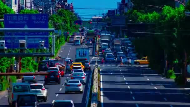 Uma timelapse da baixa da rua na avenida Kanpachi em Tóquio zoom de longo alcance diurno — Vídeo de Stock