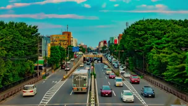 Een timelapse van de benedenstad straat op Kanpachi avenue in Tokio dag brede schot zoom — Stockvideo