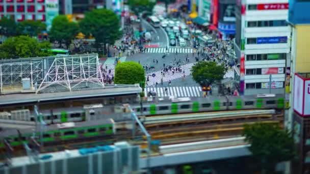 Časový průběh přechodu Shibuya v Tokiu s vysokým úhlem náklonu — Stock video