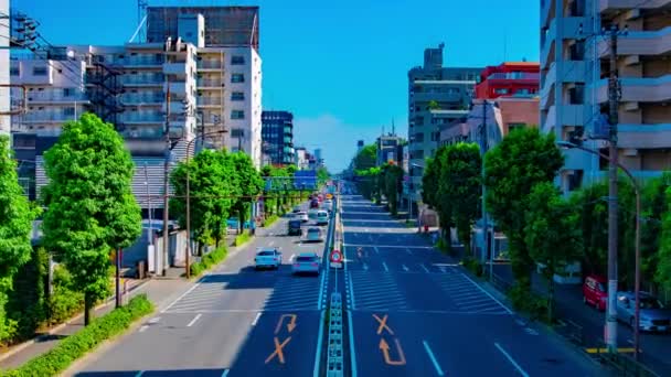 Un intemporel de la rue du centre-ville à l'avenue Kanpachi à Tokyo zoom diurne — Video