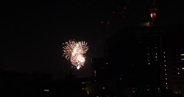 Feux d'artifice près du bâtiment de la ville urbaine de Tokyo la nuit d'été vue d'ensemble — Video