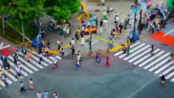 A timelapse of Shibuya crossing in Tokyo high angle tiltshift — Stock Video