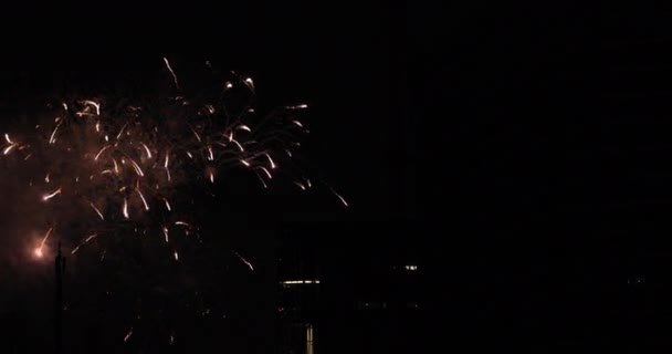 ดอกไม้ไฟใกล้กับตึกที่เมืองในโตเกียวในคืนฤดูร้อน — วีดีโอสต็อก
