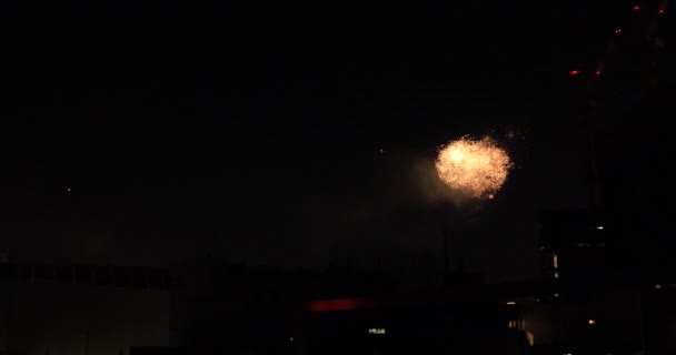 夏の夜、東京都内のビルの近くで花火が打ち上げられました — ストック動画