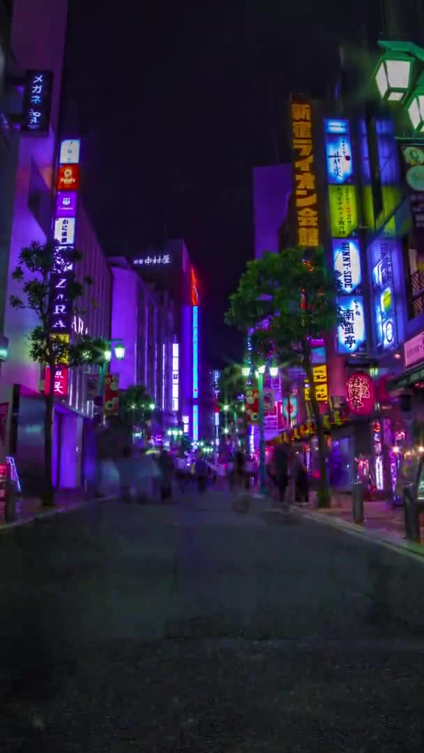 En nat timelapse af neon byen i Setagaya Tokyo lodret tilt – Stock-video