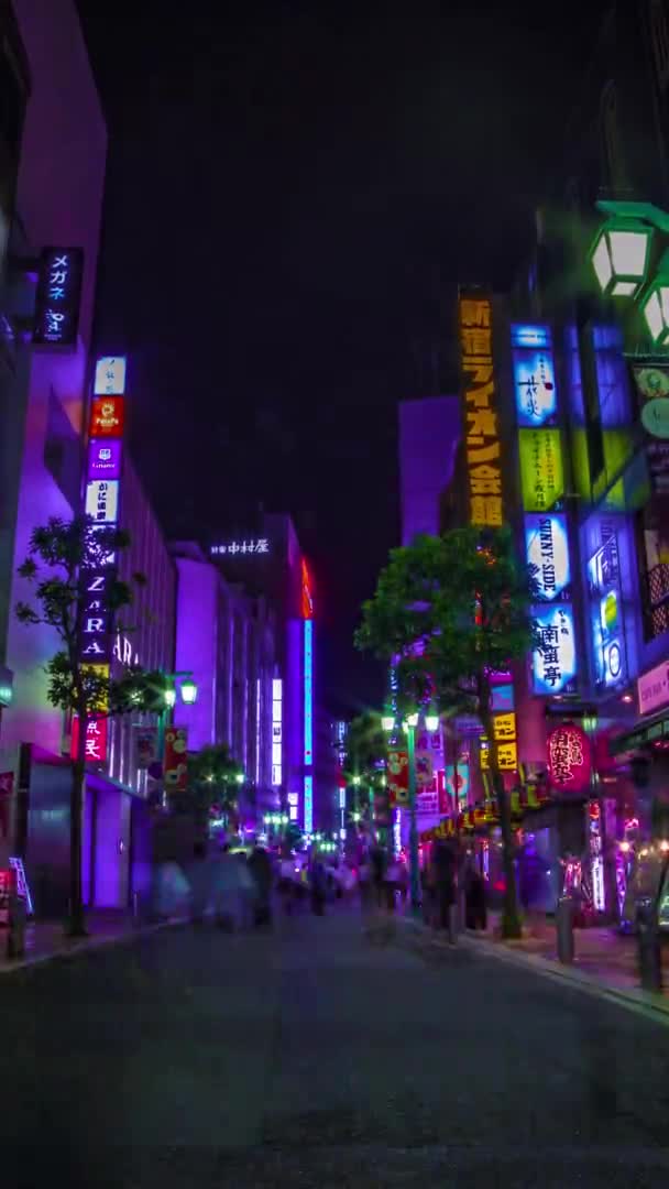 Ein nächtlicher Zeitraffer der Neonstadt in Setagaya Tokyo — Stockvideo