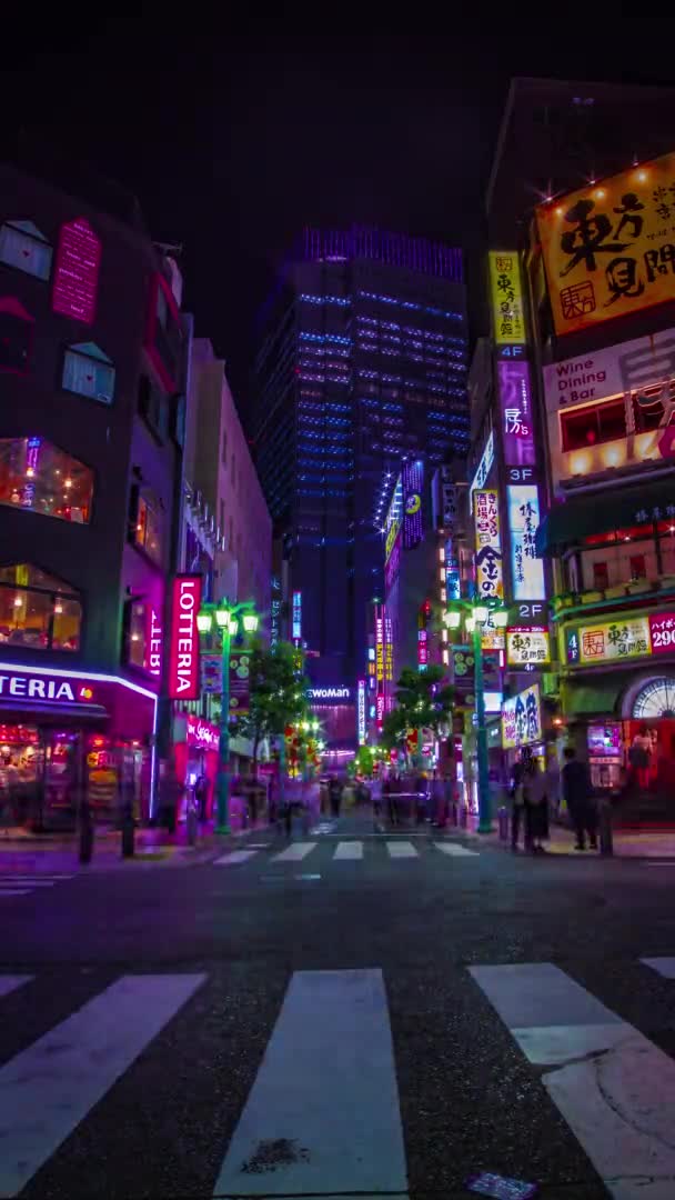 En natt timelapse av neon staden i Setagaya Tokyo vertikal — Stockvideo