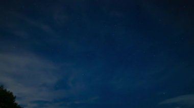 Gece Shizuoka 'daki ormanda yıldızlı bir gökyüzü zamanı.