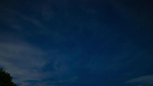Een timelapse van de sterrenhemel bij het bos in Shizuoka 's nachts brede schot panning — Stockvideo