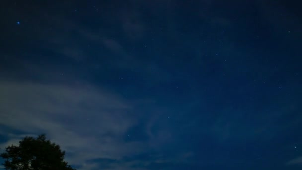 Een timelapse van de sterrenhemel bij het bos in Shizuoka 's nachts brede schot panning — Stockvideo