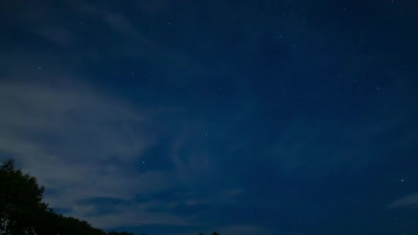 Een timelapse van de sterrenhemel in het bos in Shizuoka 's nachts brede schot zoom — Stockvideo