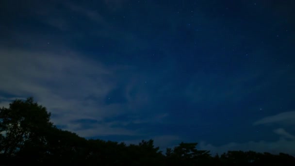 밤에 시즈오카의 숲에 있는 별 이 총에 맞은 하늘의 끝 부분 — 비디오