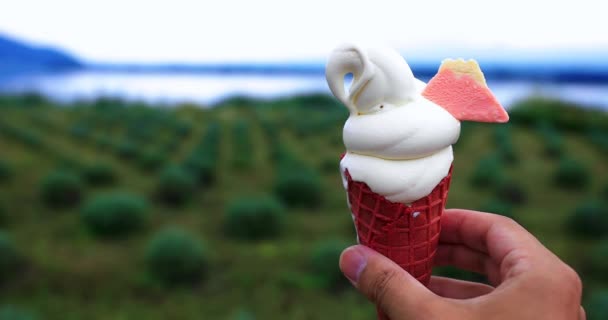 Sebuah es krim lembut dengan tangan di belakang taman dan danau — Stok Video