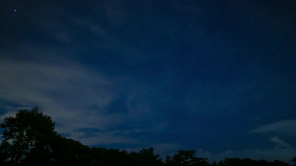 Een timelapse van de sterrenhemel in het bos in Shizuoka 's nachts brede schot zoom — Stockvideo